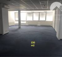 Spacious commercial spaces with blue carpet and windows without decorations.