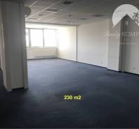 Spacious commercial spaces with blue carpet and large windows.