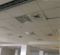 Interior of commercial spaces with wood-patterned flooring and lighting on ceiling panels.