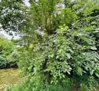 Greenery and river suitable for plots - housing in Dedina Mládeže.