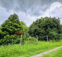Greenery and a tree in the background, ideal for living in Dedina Mládeže.