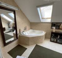 A bathroom in a family house with a bathtub, a skylight, and green mats.
