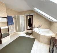A bathroom in a family house with a bathtub and a shower under a sloped roof.