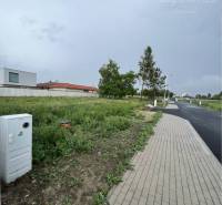 Sidewalk on Bučuháza Street, Šamorín, Land - residential, with open green space.