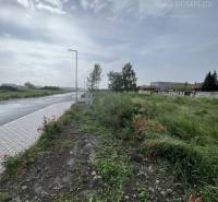 Plots - housing on Bučuháza Street in Šamorín, by the road with greenery and poppies.