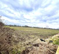 Agricultural and forest lands in Veľké Dvorníky on Veľké Dvorníky street, with a cloudy sky.