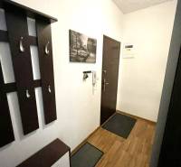 Entrance hallway in a 2-room apartment with furniture and flooring featuring a wood design.