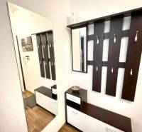 Hallway of a 2-room apartment with a large mirror and a coat rack wall, floor with wooden decor.