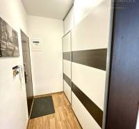 A hallway in a 2-room apartment with a wooden decor floor and a built-in wardrobe.
