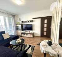 Living room in a two-room apartment, dark furniture, wooden decor flooring, bright atmosphere.