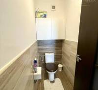A bathroom in a 2-room apartment with a wooden decor floor and a dark toilet seat.