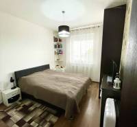 A bedroom in a 2-room apartment with a bed, carpet, and wooden decor flooring.