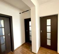 A hallway with built-in wooden doors and a floor with a wooden decor in a 2-room apartment.