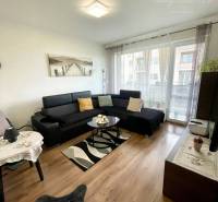 Living room in a two-room apartment with dark furniture and a wooden decor floor.