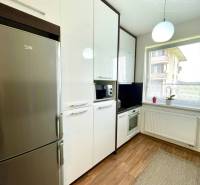 A kitchen in a 2-room apartment with white cabinets, a refrigerator, and a wooden decor floor.