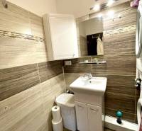Bathroom in a 2-room apartment with a wooden decor floor, shower corner, and washbasin.