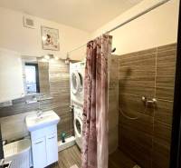 Bathroom in a 2-room apartment with a bathtub, sink, and washing machine.
