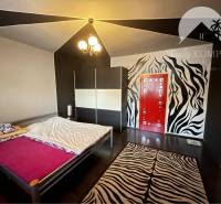 The bedroom in the family house has a zebra pattern on the wall and a dark floor.