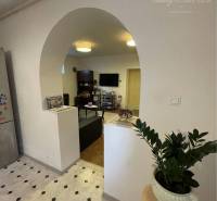 Interior of a family house with an arched passage, tiles, and a plant on a stand.