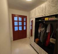Hallway in a family house with a coat closet and glass doors.