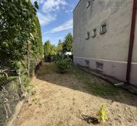 A garden next to a family house in Tešedíkovo with an earthen surface and bushes by the fence.