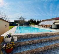 In the garden by the family house, there is a pool, stone steps, and flower pots with flowers.