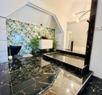 Luxurious bathroom with black marble and green vegetation design elements in a family house.