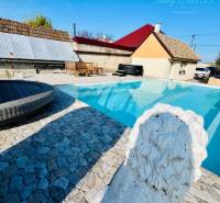 Stone terrace, lion statue, garden furniture, swimming pool, family house, blue sky.