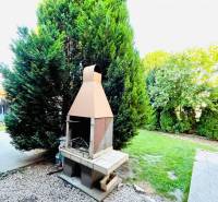 The garden of a family house in Okoč with a fireplace, lawn, and tall trees.
