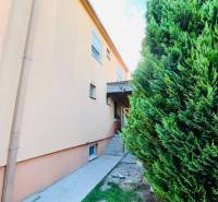 A family house in Okoč surrounded by a narrow path and dense trees.
