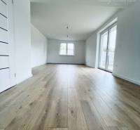 Interior of a family house with a wooden decor floor and French windows.