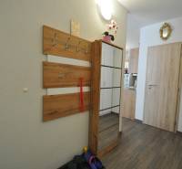 Entrance hallway in a 2-room apartment with a coat rack and flooring with a wooden decor.