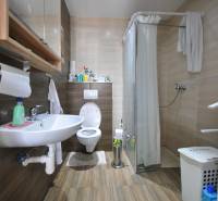 A bathroom in a 2-room apartment with wooden decor, a sink, a toilet, and a shower.