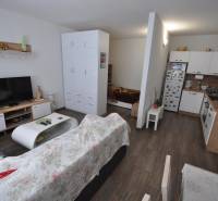 Living room in a two-room apartment with a kitchenette and a television, wooden decor flooring.