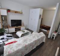 A living room of a two-room apartment with a wooden decor floor, a sofa, and a television.