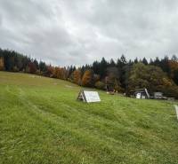 Greenery and forest background in Lazy pod Makytou, Čertov, on commercial land.