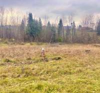 Sale Land – for living, Land – for living, Milošovský rybník, Čadca, S