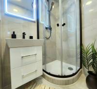 Bathroom in a 2-room apartment with an illuminated mirror, shower corner, and a potted plant.