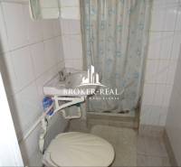 Bathroom in a family house with a sink, shower, and toilet.