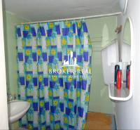 A bathroom in a family house with a colorful shower curtain and a mirror.