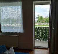 A room with a blue sofa, a window, and balcony doors with a view of greenery.