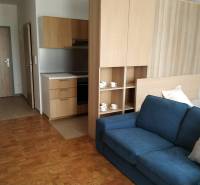 Living room with kitchen, wooden decor flooring, blue sofa.