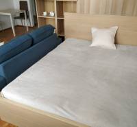 Bed, sofa, and a small table with wood-patterned flooring in a studio apartment.