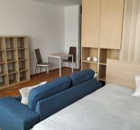 Bright living area with a blue sofa, desk, and shelves in a studio apartment.