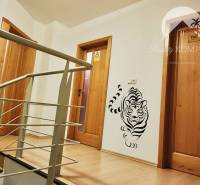 A hallway of a family house with wooden decor and a tiger decoration on the wall.