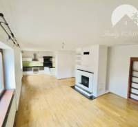 A family house with a kitchen, a fireplace, and a floor with a wooden decor.
