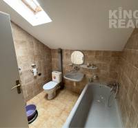 A bathroom in a family house with a bathtub, sink, toilet, and skylight.