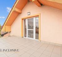 The terrace of a family house in Dobrohošť with paving and ornamental trees.