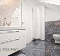 A bathroom in a family house with a toilet, sink, and elegant tiles.