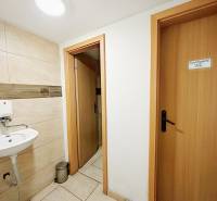 Interior of a family house with a toilet and a sink, tiled with light tiles.